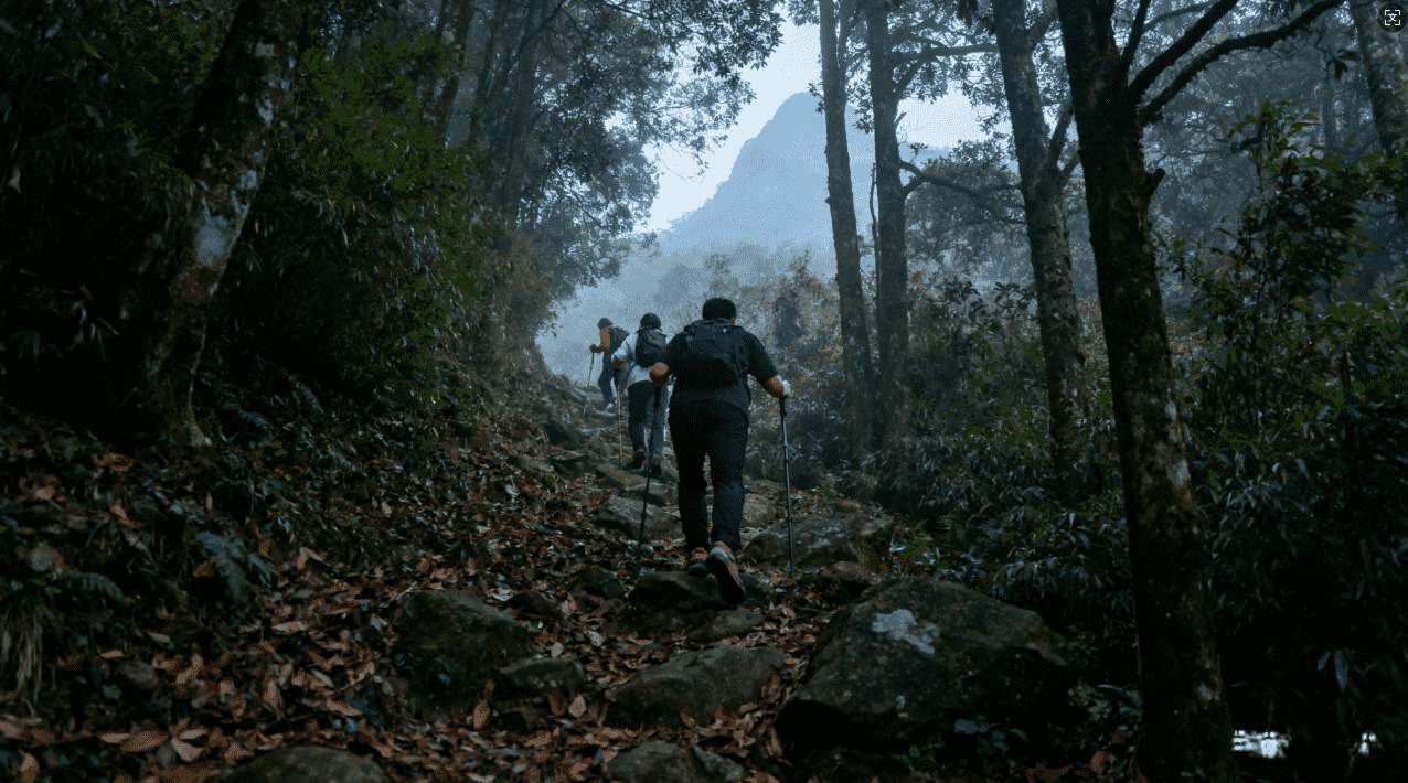坚果加速器初始密码忘记重置方法详解